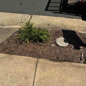 Flower Bed Weeding by Super Clean Lawn Service reviewed on July 4, 2026