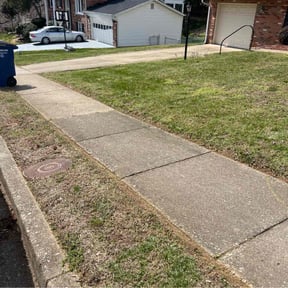 Leaf Removal by CCs lawncare reviewed on September 10, 2025