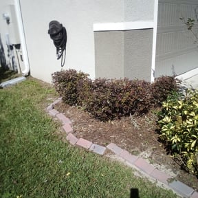 Bush Trimming by Mmr grass cutters reviewed on August 17, 2025