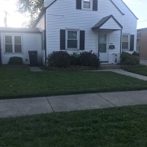 Bush Trimming by Ace's Landscape & Lawn services reviewed on August 19, 2025