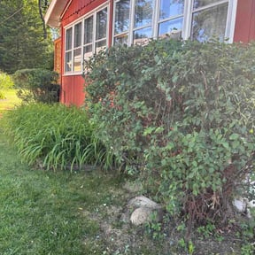 Bush Trimming by Pottsolos Logistics reviewed on May 27, 2026