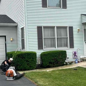 Bush Trimming by Fresh Fade Lawns reviewed on June 8, 2026