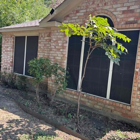 Bush Trimming by Ryan's Neighborhood Lawn Service reviewed on November 24, 2025