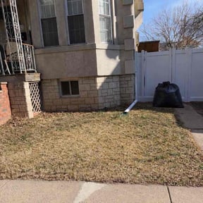 Leaf Removal by Lutz property service reviewed on March 30, 2026