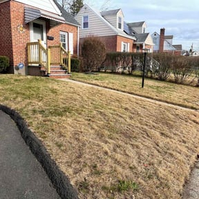 Leaf Removal by Torres Transformations reviewed on September 22, 2025