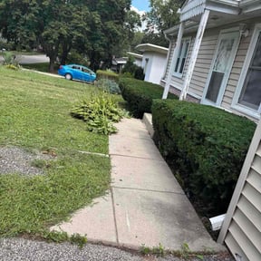 Bush Trimming by B.mendoza lanscaping reviewed on November 19, 2025