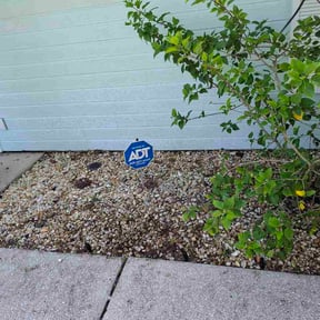 Flower Bed Weeding by Major Services reviewed on August 17, 2026