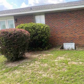 Bush Trimming by Redbird Lawn Care reviewed on August 5, 2026