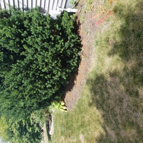 Flower Bed Weeding by Lawns By Lopez reviewed on August 19, 2025