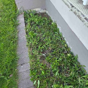 Flower Bed Weeding by Spare Time Hardscape reviewed on April 15, 2026