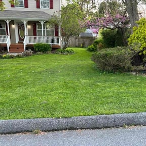 lawn service by Pro Lawns 320 reviewed on July 11, 2025