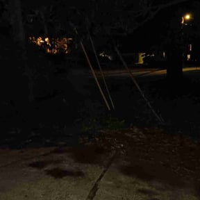 Leaf Removal by Scpaing lawn reviewed on October 3, 2025