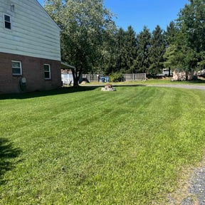 lawn maintenance by FRL Landscaping reviewed on June 6, 2024