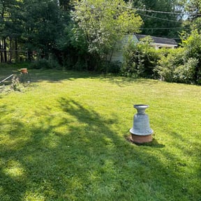 landscape maintenance by Kings Lawn Care reviewed on June 10, 2025