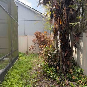 Bush Trimming by Cleancut Landscaping reviewed on June 26, 2025