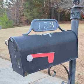 Leaf Removal by Hills landscape reviewed on December 18, 2025