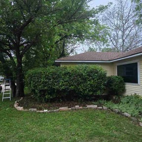 Bush Trimming by Three Roots Landscaping &amp; Junk Removal reviewed on April 17, 2026