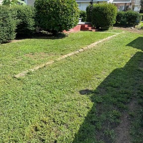 lawn care by Isaiah's Custom Cutz reviewed on April 24, 2024