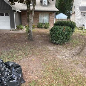 Bush Trimming by Chillwills cut above reviewed on June 15, 2026