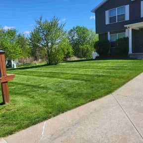 yard maintenance by Haulin Hooligans LLC reviewed on November 23, 2025