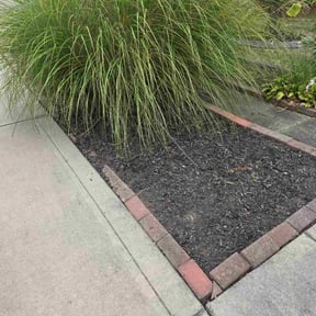 Flower Bed Weeding by JJ Lawn and Tree Trimming reviewed on October 24, 2025