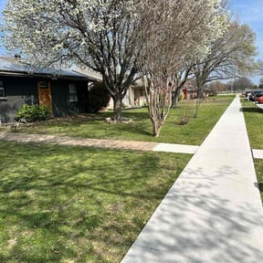 yard maintenance by Green lawn care reviewed on December 14, 2025