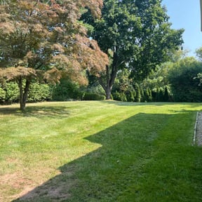 landscaping by Dixon Mow &amp; Trim LLC reviewed on November 24, 2025