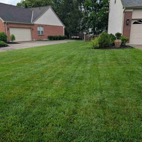 yard maintenance by Maryhaven farm reviewed on January 28, 2026