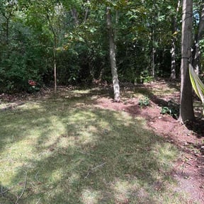 Leaf Removal by Lonestar landscape design DFW reviewed on September 8, 2025