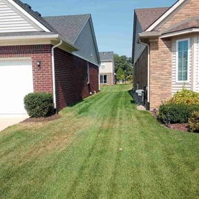 lawn maintenance by Lawn Lacerations LLC reviewed on March 18, 2022