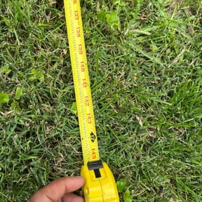 Bush Trimming by Project&#039;s Empire LLC reviewed on October 24, 2025