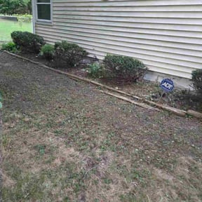 Bush Trimming by Chance Landscaping LLC reviewed on March 29, 2023