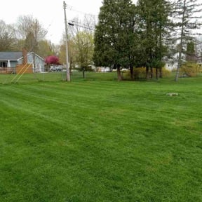 lawn service by Jim&#039;s Lawn Service reviewed on August 18, 2025