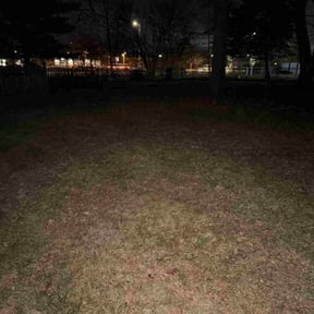 Leaf Removal by Grateful Green Lawn Care reviewed on November 19, 2025