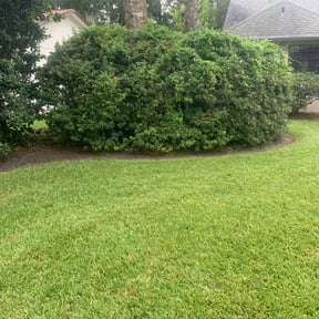 Flower Bed Weeding by CL Handyman and Lawncare Services reviewed on November 22, 2025