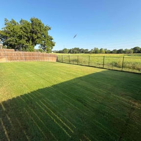 yard care by Greenscape LLC. reviewed on August 21, 2025