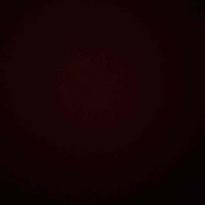 Bush Trimming by The Bush Guys reviewed on November 21, 2025