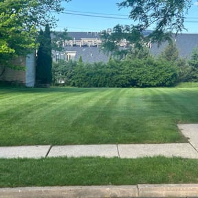 yard maintenance by Moyer property service reviewed on August 21, 2025