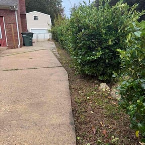 Bush Trimming by Madissons Green reviewed on October 22, 2025