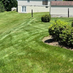 yard work by Green City Landscaping Co LLC reviewed on August 18, 2025