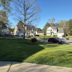 lawn care by Anthony's Lawn Care reviewed on September 28, 2023