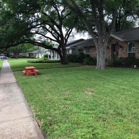 residential landscaping by DFW Grass cuts reviewed on December 18, 2025