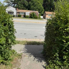 Bush Trimming by Lawn &amp; order &amp; specialty handyman services reviewed on June 10, 2026