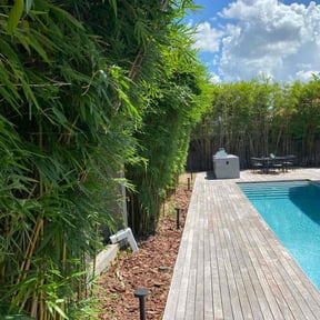 Bush Trimming by  reviewed on October 24, 2025