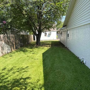 yard maintenance by Home and lawn reviewed on December 18, 2025