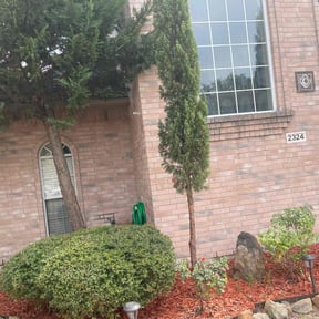 Bush Trimming by Burgeons Landscaping & Lawn Care Inc. reviewed on August 19, 2025