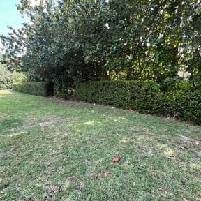 Flower Bed Weeding by 3rd shift mowing reviewed on June 9, 2026