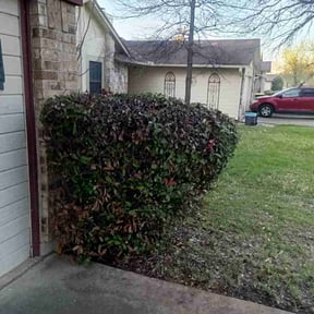 Bush Trimming by Beckford&#039;s Yard &amp; More LlC reviewed on November 21, 2025