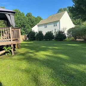 yard maintenance by LawnScping Bill reviewed on August 18, 2025