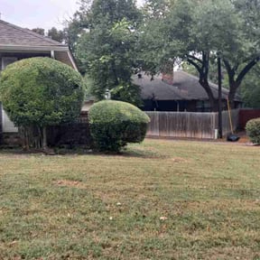 Bush Trimming by Quality Pro. Construction reviewed on August 19, 2025
